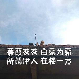 美女机器人和真人做爱视频看看
